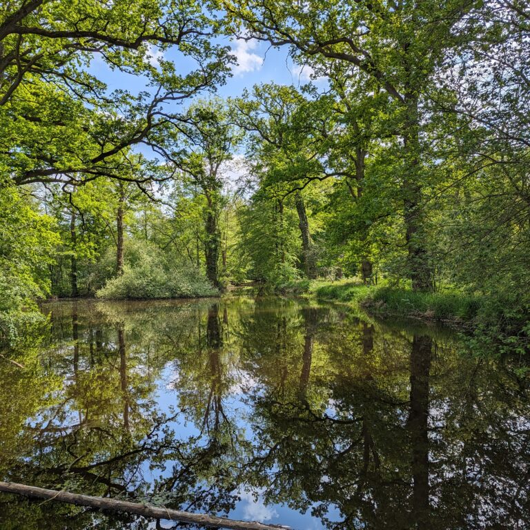 Fahrradtour – Borne – Delden 2024